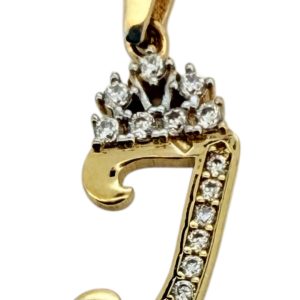Pendants J 14 KT zicornia Weight