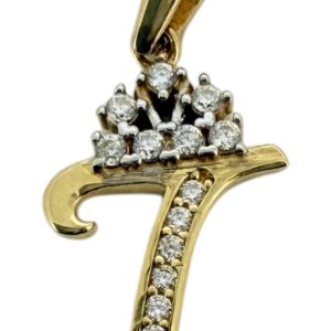 Pendants T 14 KT zicornia Weight
